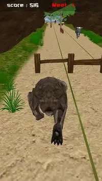 Jungle Bear Run 3D Screen Shot 1