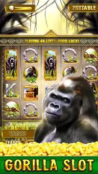 Wild Gorilla Free Slots Screen Shot 0