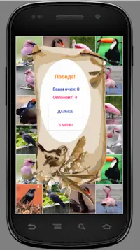 Игра на память. Птицы. 6  Screen Shot 6