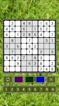 Sudoku Pro Screen Shot 1