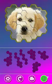 Hexa Jigsaw - Dogs jigsaw puzzle game Screen Shot 8