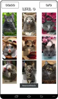 Cat Puzzles Screen Shot 3