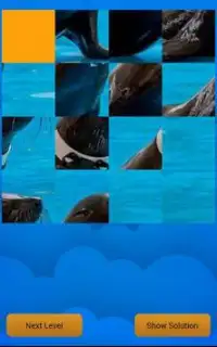 Slide Puzzle Animals Screen Shot 3