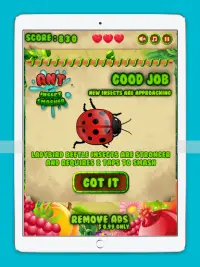 Ant Insect Smasher Screen Shot 10