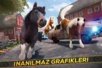 Güzel Midilli At Yarış Oyun 3D Screen Shot 2