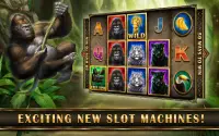 Slots Super Gorilla Free Slots Screen Shot 6