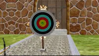 Master Archery King 2019 Screen Shot 3