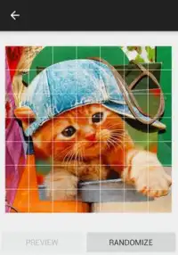 Kitten Sounds and Puzzles Free Screen Shot 7