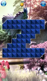 Hidden Pieces: Aviary Screen Shot 4