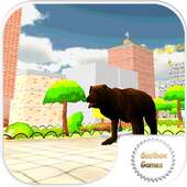 Wild Bear in City