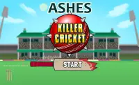 Ashes Killer Cricket Screen Shot 0
