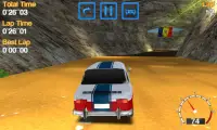 Romanian Racing Screen Shot 3
