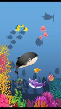 Bébé Requin Aquarium Créateur Screen Shot 5