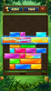 Slide N Drop - Falling Jewel Block Puzzle Screen Shot 1