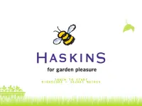 Haskins Buzzy Bee Screen Shot 4