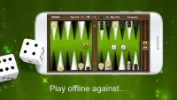 Backgammon Gold PREMIUM Screen Shot 0