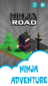 Cube Ninja Road Adventure Screen Shot 0