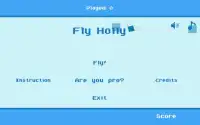 Fly Holly Screen Shot 3