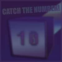 Catch The Number!