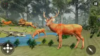 जंगली शिकार का खेल संघर्ष: निशानची गन जंगल हंटर Screen Shot 7
