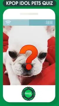 Kpop Idol Pets Quiz Game Screen Shot 3