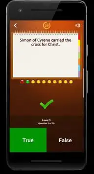 True or False Screen Shot 2