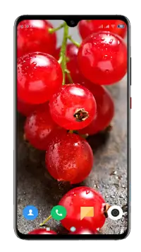 Fruit Wallpaper 4K Screen Shot 7