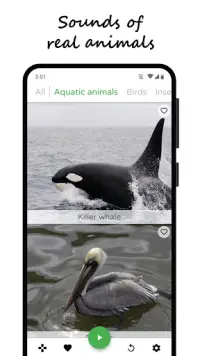 Sonidos de animales Screen Shot 2