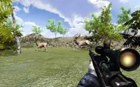 3 डी जंगली हिरण शिकारी खेल Screen Shot 3