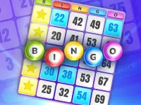 Bingo -Spiel - Live -Bingo Screen Shot 15