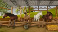Real Horse World - Showjumping Screen Shot 4