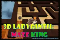 3D Labyrinth: Maze King Screen Shot 0