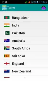 Cricket World Cup T20  16 Screen Shot 1