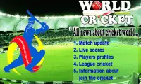 World Cricket Screen Shot 0