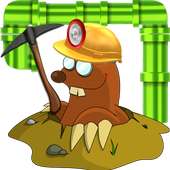 Brain Game Gold Miner Pipes