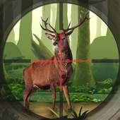 Deer Hunting Game 2017
