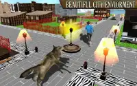 сафари волк бег город атака Screen Shot 0