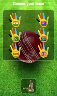 Hand Cricket Screen Shot 5