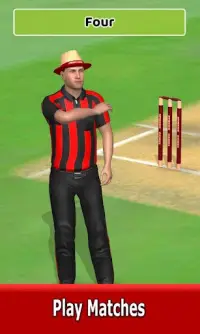 Cricket World Domination Screen Shot 10