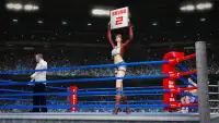Tag Team Jogos de Boxe: Real World perfurador de Screen Shot 4