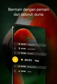 Puzzle dengan burung Screen Shot 3