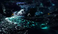 Escape From Glow Worm Cave Screen Shot 5