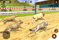 Animal Racing Simulator: Wild Animals Race Game Screen Shot 1