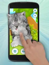 Kedi Kediler Kedi Oyunu Screen Shot 0