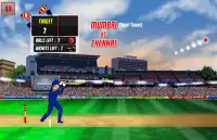 IPL cricket game : Mr IPL T20 Screen Shot 3