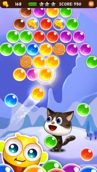 Bubble Cats Pop: Pet Shoot Screen Shot 2