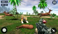 Tiger Hunting game: Zoo Animal Shooting 3D 2020 Screen Shot 4