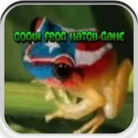 Coqui Frog Match Game Screen Shot 0