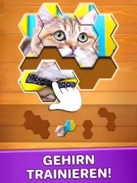 Puzzle Spiele (Deutsch) Screen Shot 8