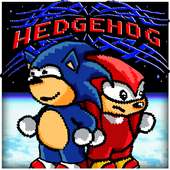 World Adventures Hedgehog Bros